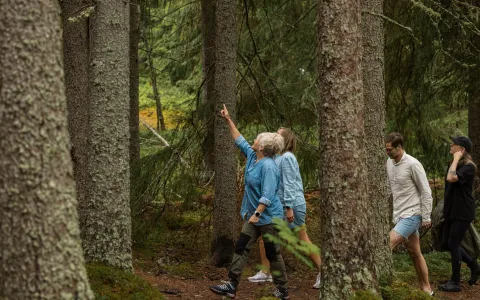 Gäster som är ute på tur med en guide i skogen.